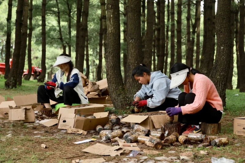 務(wù)工群眾正在給菌絲包切塊