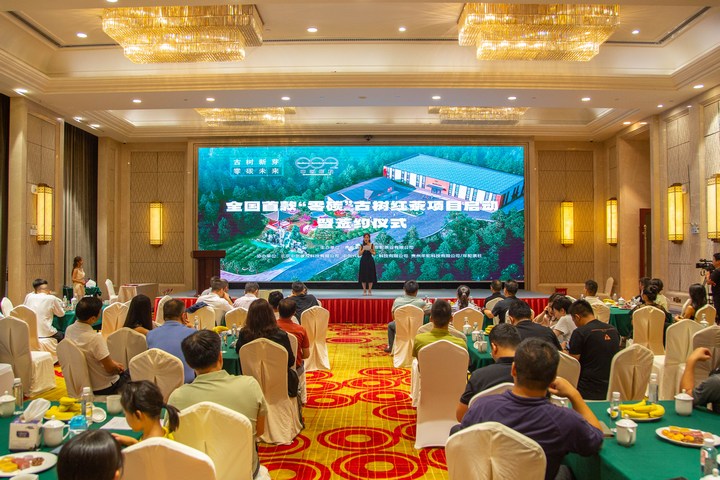 全國首款“零碳”古樹紅茶項目啟動儀式現場。袁華強攝