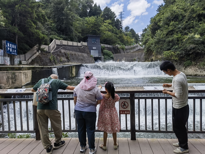 貴陽阿哈湖國家濕地公園的動植物有了“身份卡” 。張海波拍攝 (8)