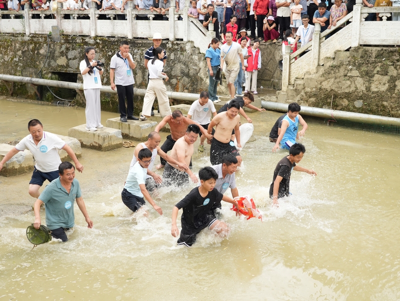 1、游客們下水捉魚