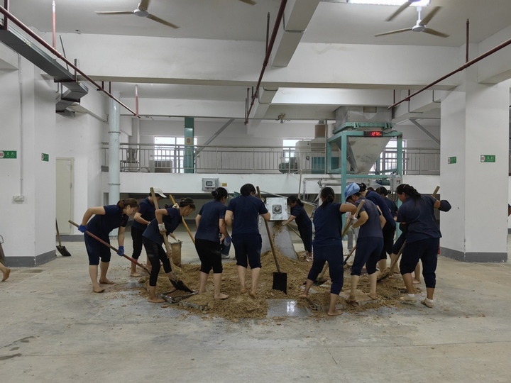 制曲車間工人忙制曲。仁懷市融媒體中心供圖