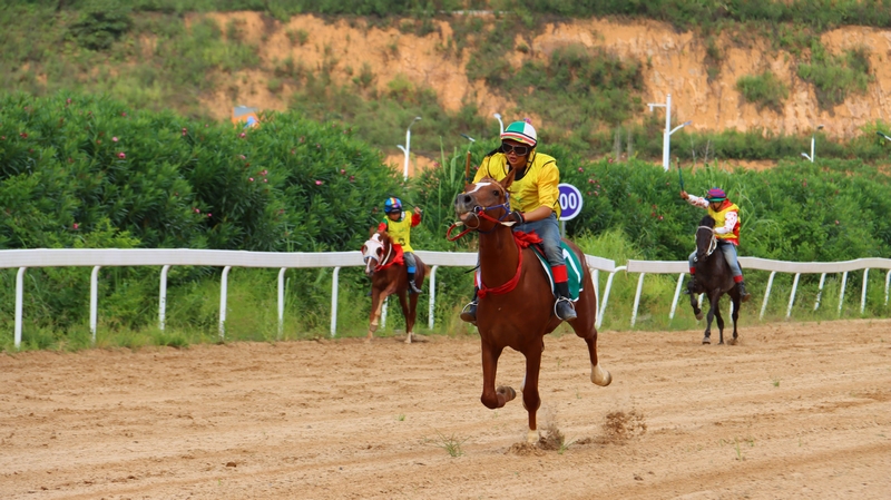 駿馬在賽道上奔馳