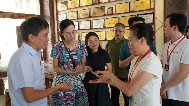 2 圖為現(xiàn)場交流討論。紅花崗區(qū)融媒體中心供圖.jpg