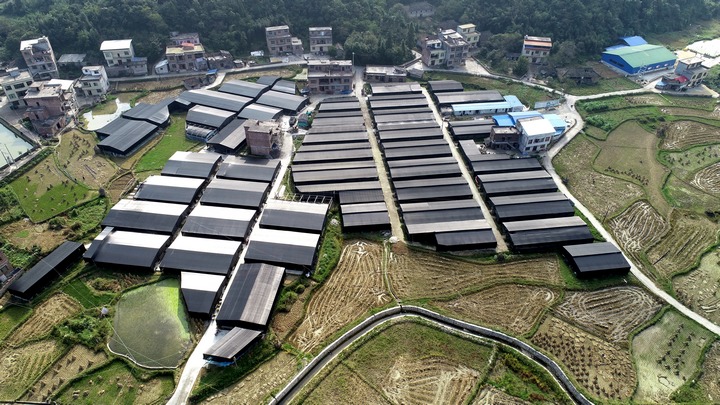 荔波縣佳榮鎮(zhèn)拉祥村食用菌基地。