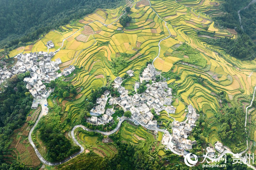 航拍貴陽市花溪區(qū)高坡苗族鄉(xiāng)梯田。人民網(wǎng)記者 涂敏攝