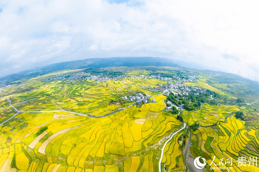 航拍貴陽市花溪區高坡苗族鄉梯田。人民網記者 涂敏攝