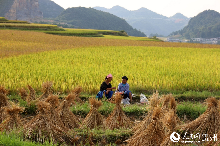 休息間隙，村民吃著西瓜與鄰里交談。人民網 潘佳倩攝