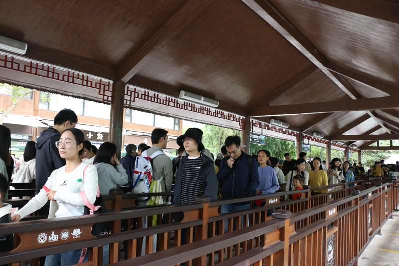 游客在景區(qū)內(nèi)有序換乘。