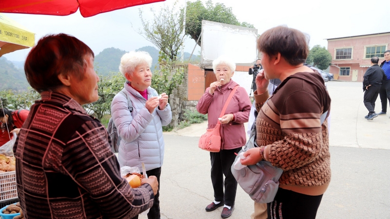 游客 文俊入 攝