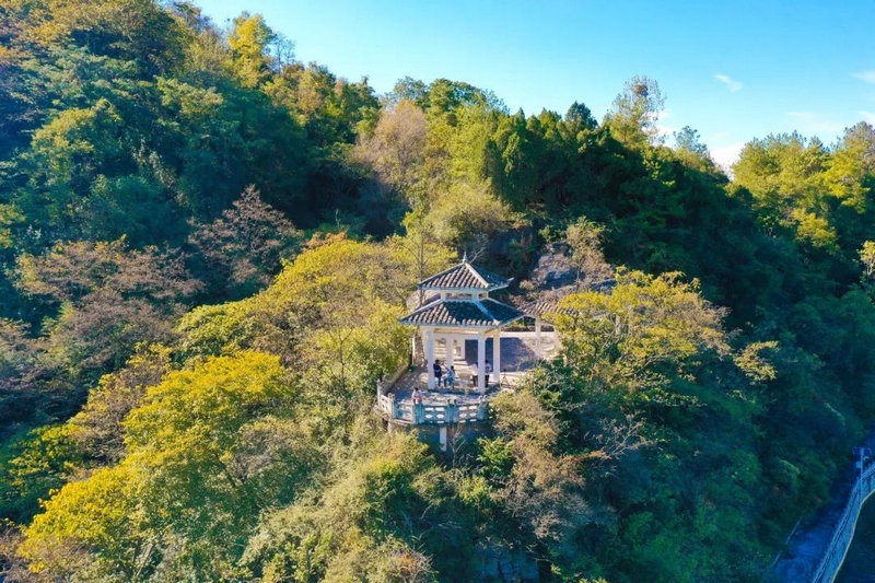 永樂鄉的秋天，你不能錯過的絕美風光。