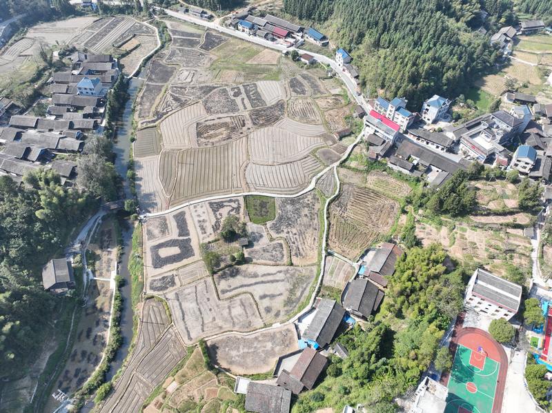 地湖村航拍圖。