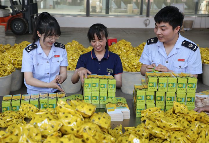 近日，普安縣稅務局青年志愿者到貴州習普生物科技有限公司開展稅費宣傳，現場進行涉稅疑難問題輔導。呂青黛攝