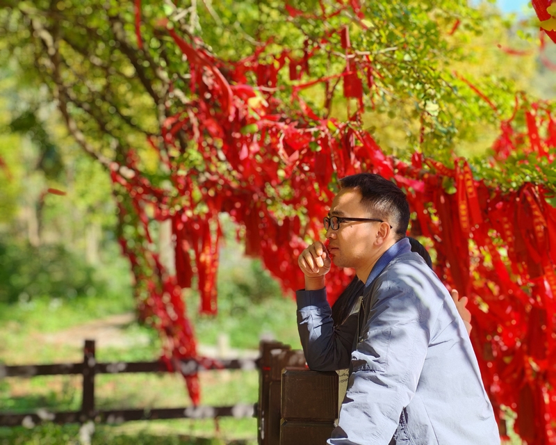 長崗鎮銀杏景區游客駐足(余甚君 拍攝)