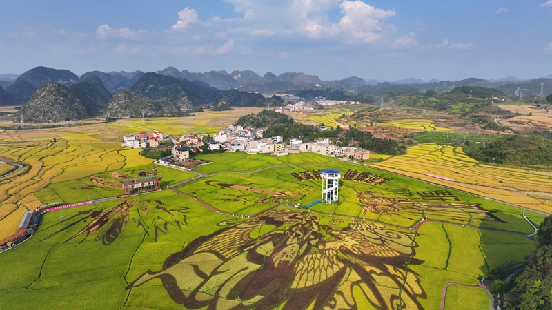 稻花鄉里農文旅觀光園。受訪者供圖