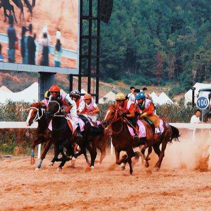 貴州村馬持續(xù)引燃“超級周末”10月12日—13日，“貴州村馬”水族端節(jié)全國賽馬聯(lián)賽正式拉開帷幕，持續(xù)為游客們帶來“馬背上的速度與激情”……