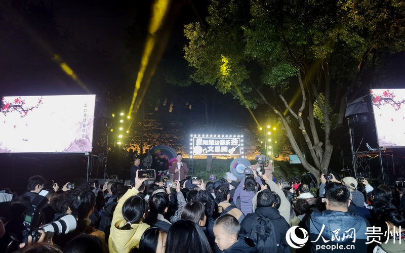 音樂會(huì)現(xiàn)場。人民網(wǎng)記者 王秀芳攝 (2).jpg