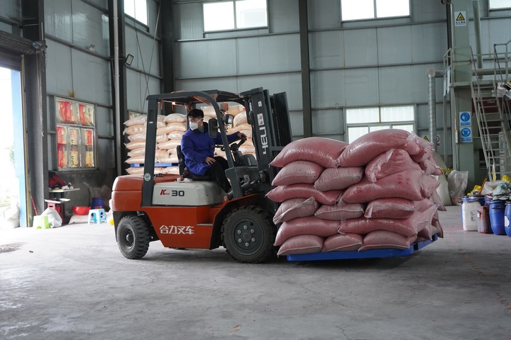 工人用叉車運輸種子。