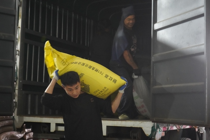 工人正在搬運種子。