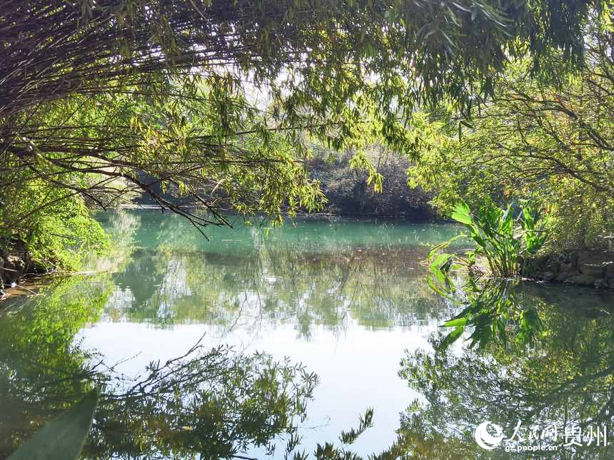花溪公園一隅。人民網(wǎng)記者 王秀芳攝