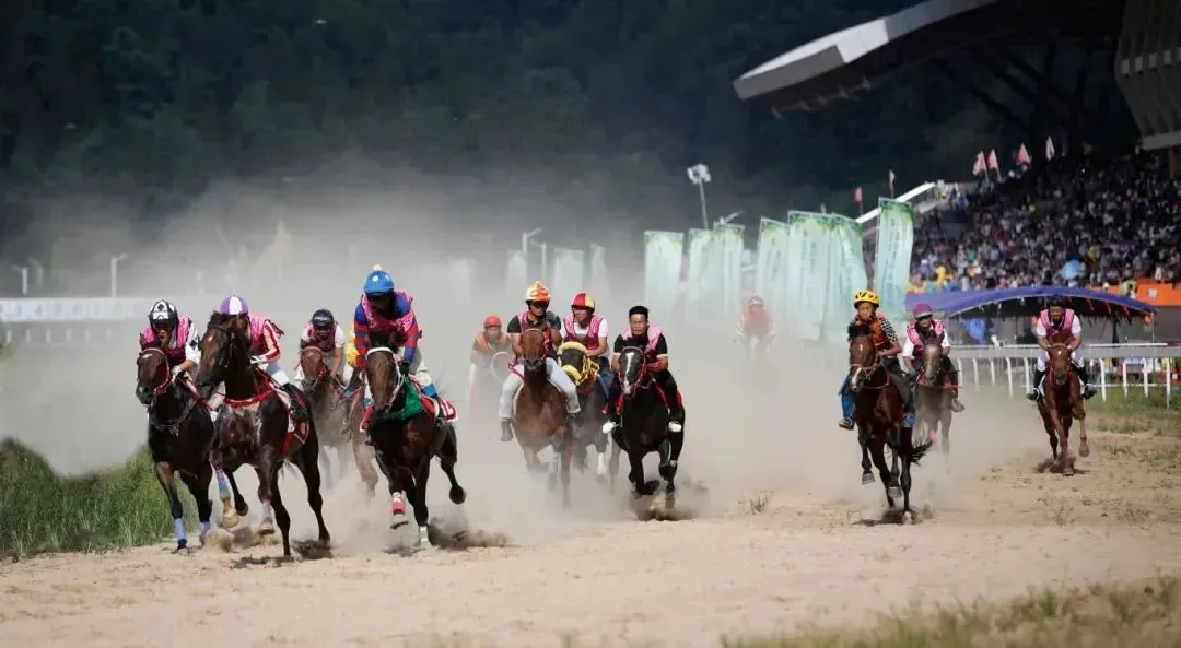 活動現(xiàn)場。