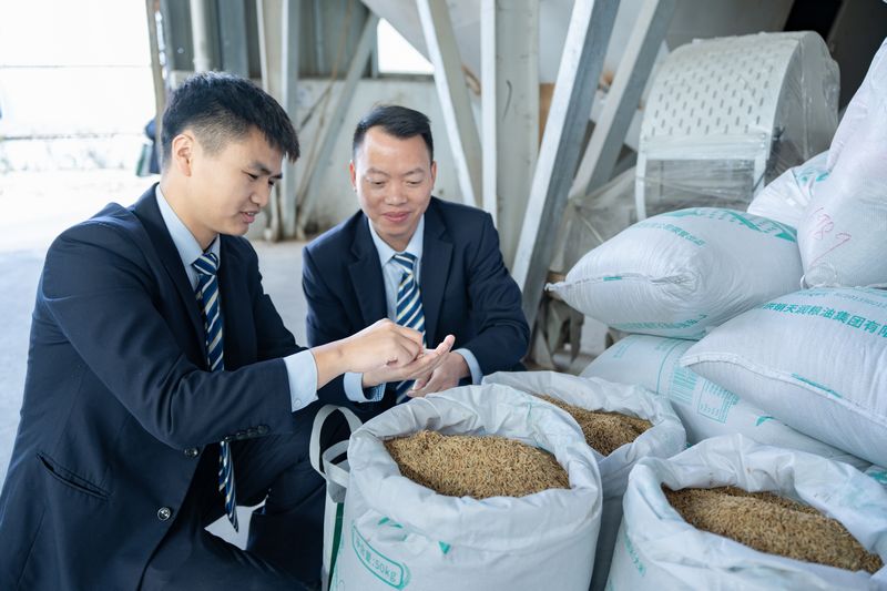 郵儲(chǔ)銀行惠水縣支行工作人員正在查看黑糯米。郵儲(chǔ)銀行貴州省分行供圖