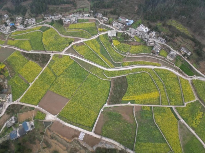 金沙建設高標準農田 夯實農業發展“耕”基 。