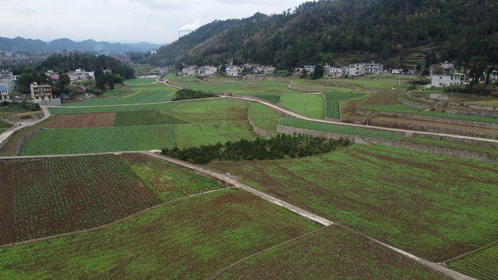 金沙建設高標準農田 夯實農業發展“耕”基 。