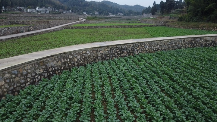 金沙建設高標準農田 夯實農業發展“耕”基 。