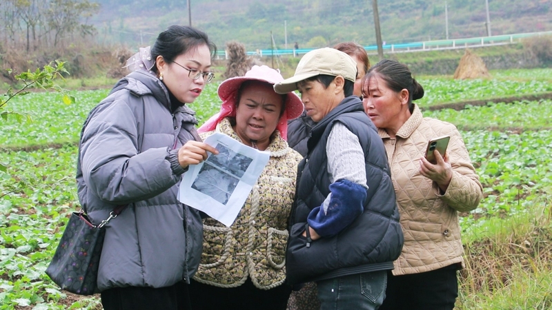 農技人員向農戶講解病蟲害防治知識。