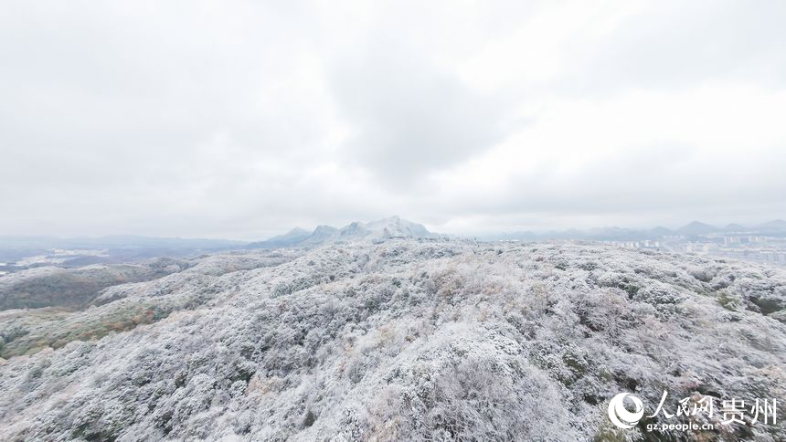 航拍雪后的百里杜鵑景區(qū)。人民網(wǎng)記者 涂敏攝