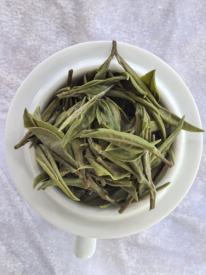 斗茶大賽現場茶品。