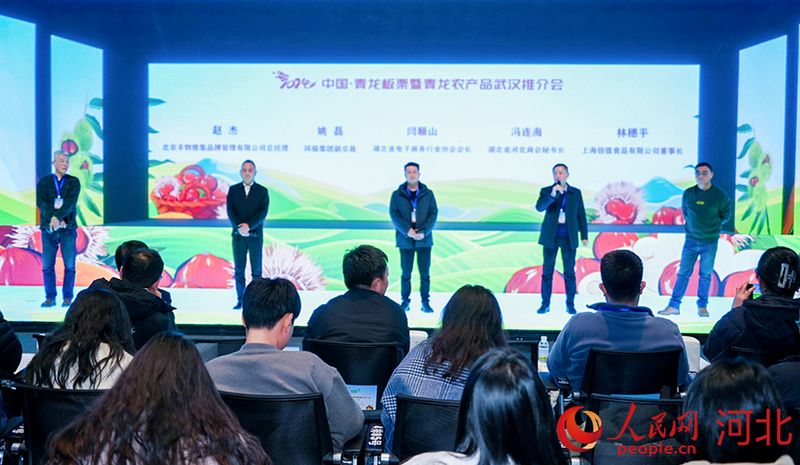 湖北、河北兩地行業(yè)協(xié)會(huì)和企業(yè)代表上臺(tái)分享如何共享商機(jī),共促合作。人民網(wǎng)記者 周博攝