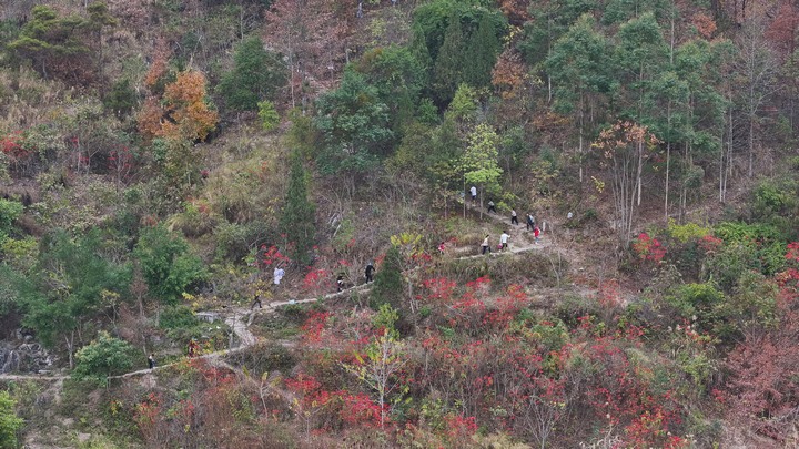 活動(dòng)現(xiàn)場(chǎng)。