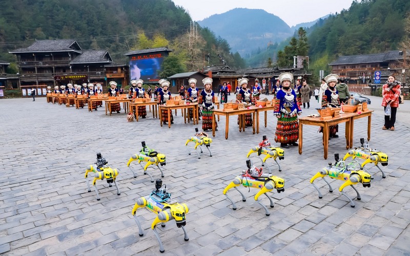 1圖為智能機(jī)器狗在西江千戶苗寨開展技能表演.jpeg