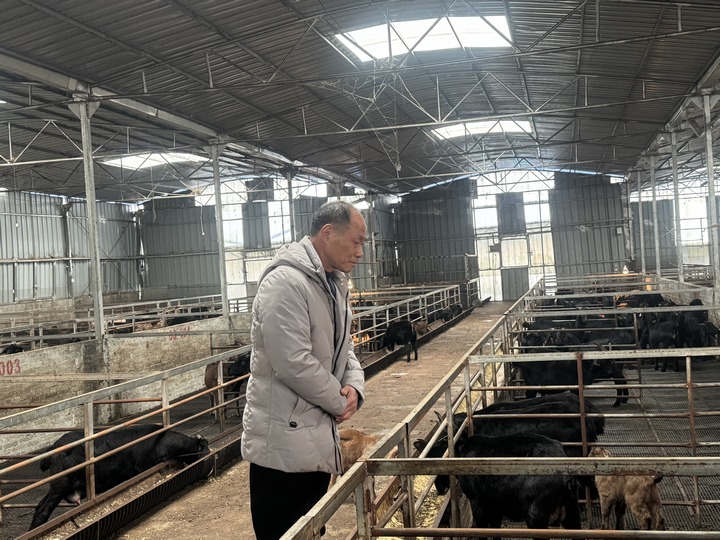 查看圈舍。劉吉攝