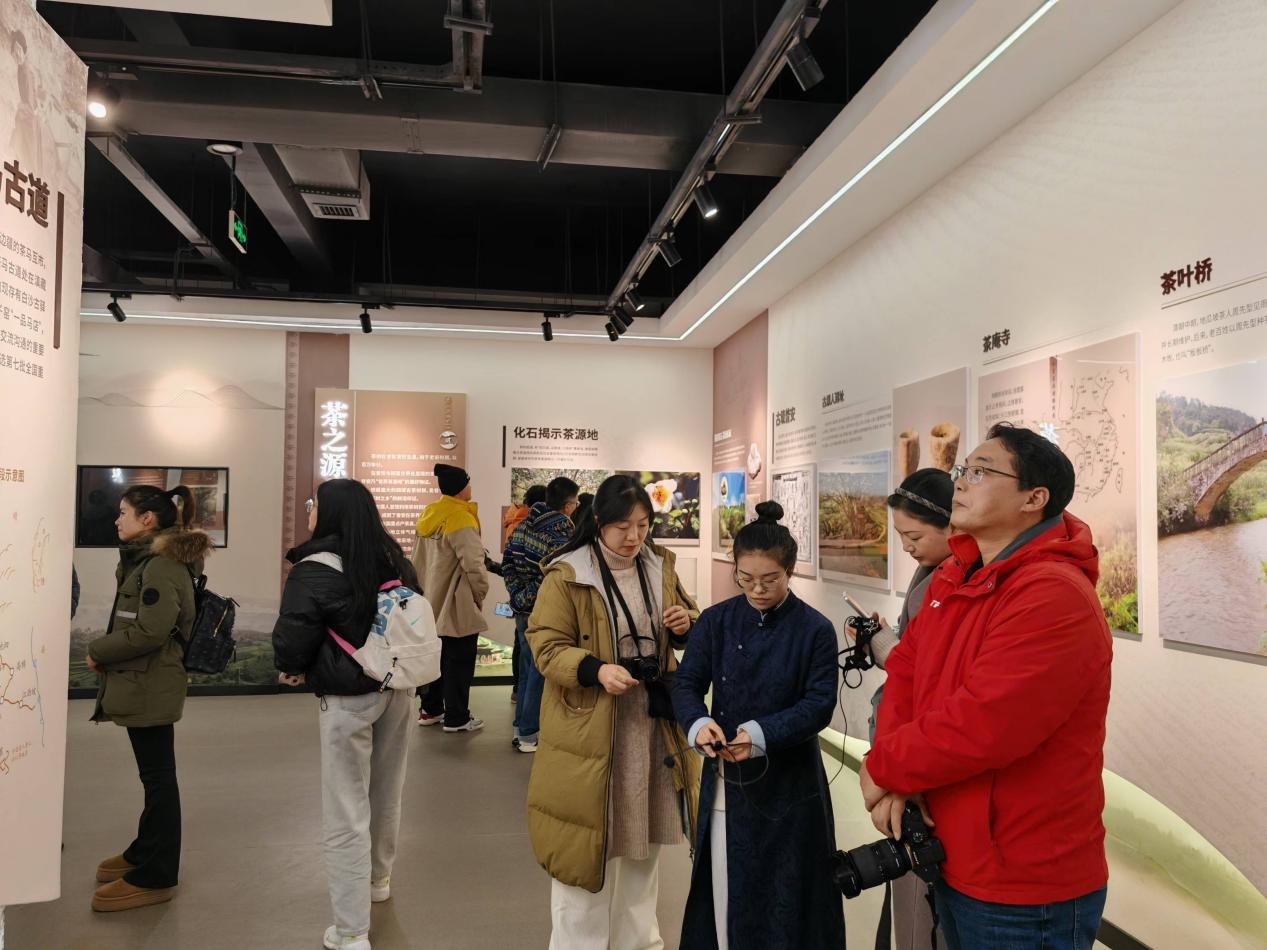 采風團參觀了解普安茶歷史。
