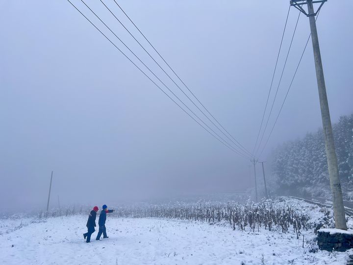 工作人員對供電線路和設備進行巡視、維護。 金莎 攝.jpg