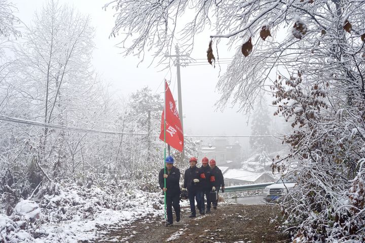 工作人員對供電線路和設備進行巡視、維護。金莎 攝.jpg