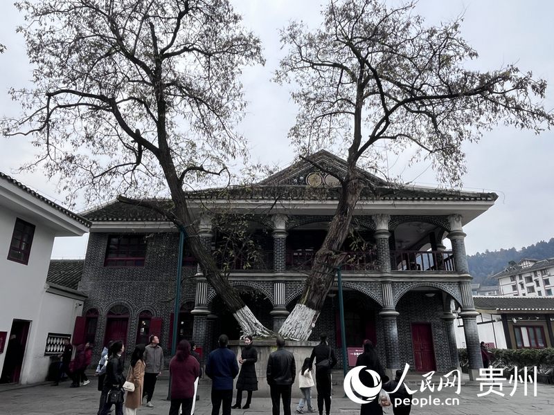 遵義會議會址小樓前的百歲大槐樹吸引游客駐足。人民網(wǎng) 陳潔泉攝