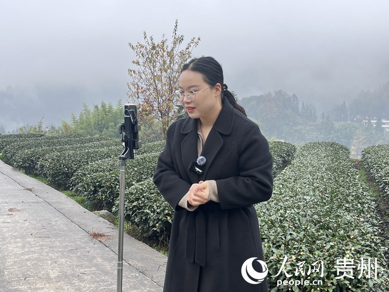 杜富佳直接將茶園變成直播間。人民網(wǎng) 陳潔泉攝