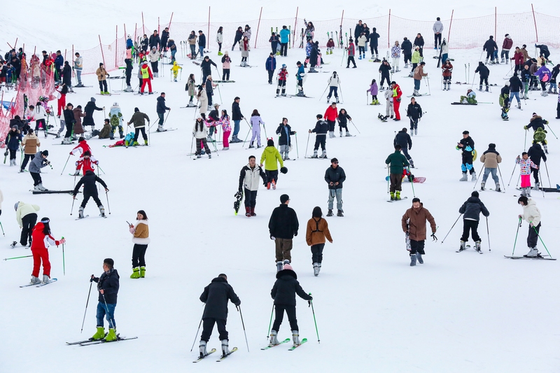 游客在玉舍雪山滑雪場滑雪。趙樺攝