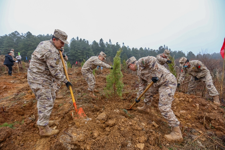 人武部官兵參加植樹。陳春志攝