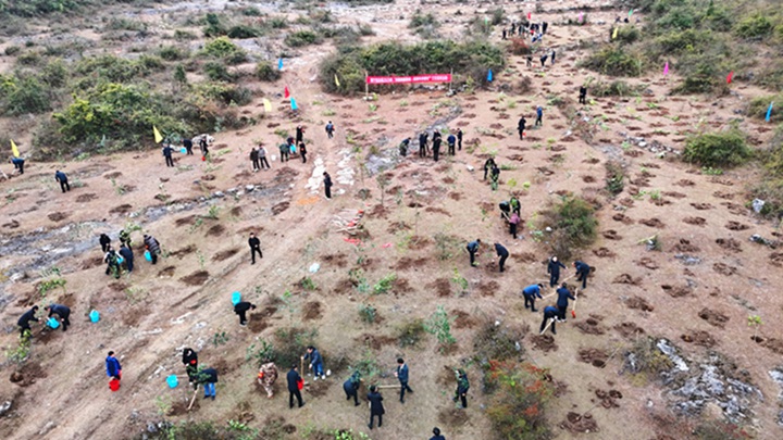 活動現(xiàn)場。