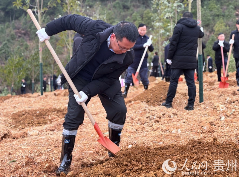 干部群眾積極參與植樹活動。人民網(wǎng)記者 高華攝.jpg