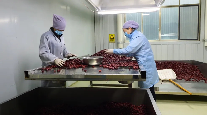 全力以“復”，西秀企業跑出復工“加速度”。