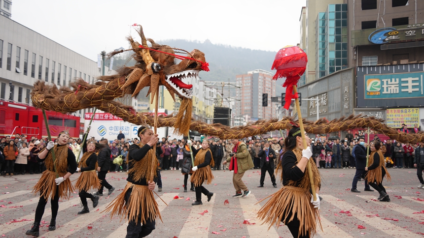 草龍巡游隊(duì)。王顯攝