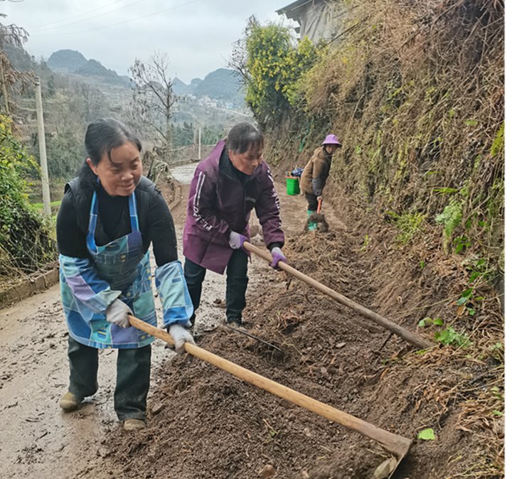 圖為組織村保潔員、志愿者、群眾等開展基耕道兩旁清理。