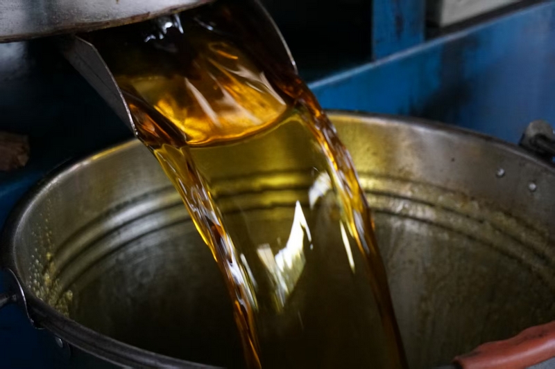 榨油坊剛榨出的小榨油。