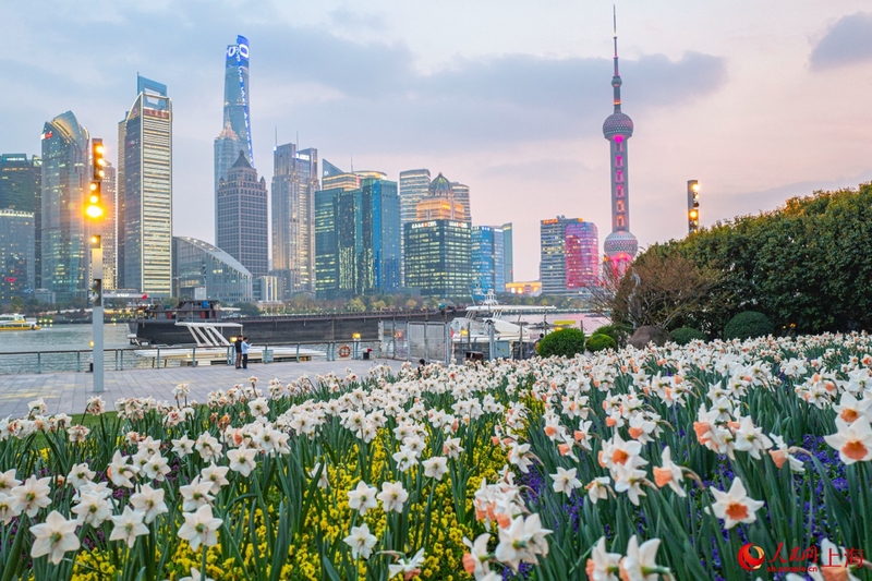 北外灘繁花似錦,景色迷人。 人民網記者 王初攝