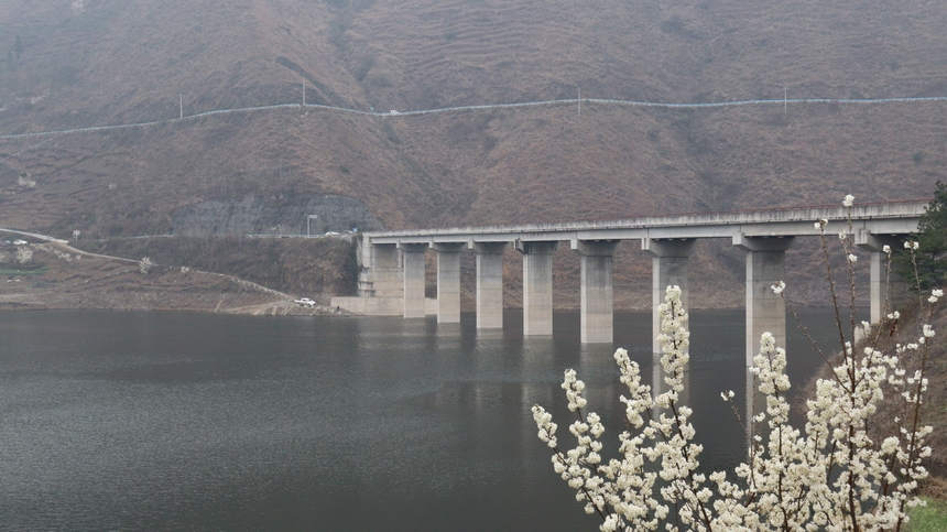 赫章縣古達鄉野鴨河附近的櫻桃花正盛放。劉虹艷攝